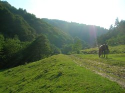 Lunca Largă a satului Tălmăcel