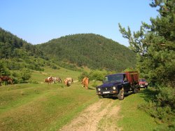 Lunca Largă a satului Tălmăcel